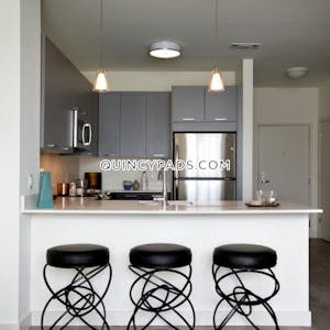 Quincy Apartment for rent 1 Bedroom 1 Bath  Quincy Center - $2,835 No Fee